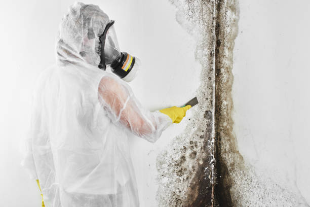 Best Residential Mold Inspection & Testing  in Madison, SD